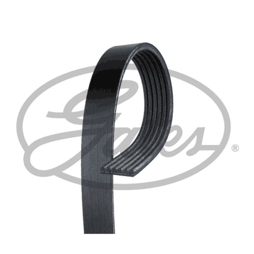 Rib multi drive belt for - multi,