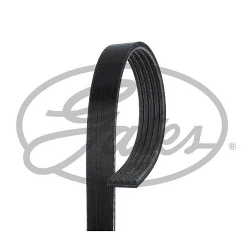 Rib multi drive belt for - rib,